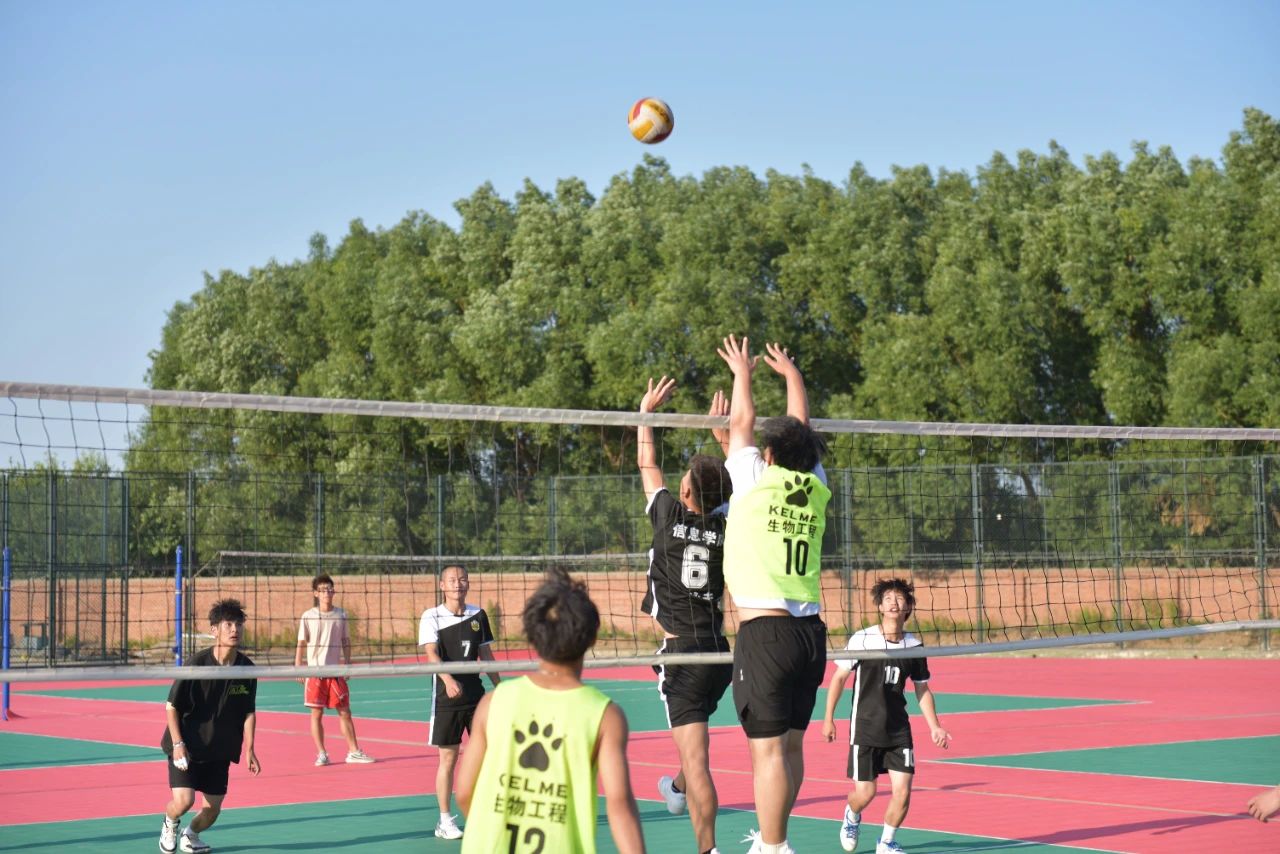 e2ca9937c0e3027dea6942d8f65b9d0f.jpg